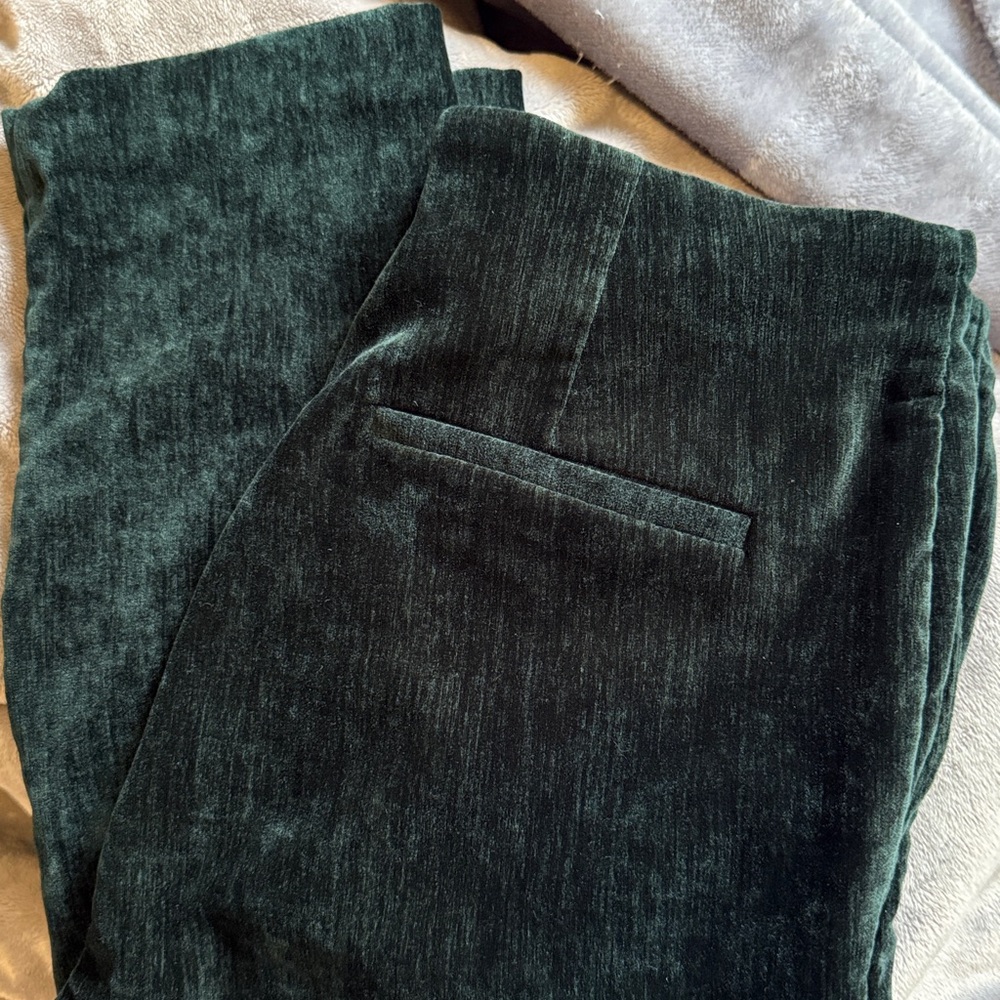 Green velvet dress pant - Picture 5 of 6